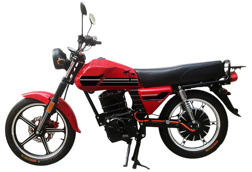 Basic commuter E-Bike LUCAS